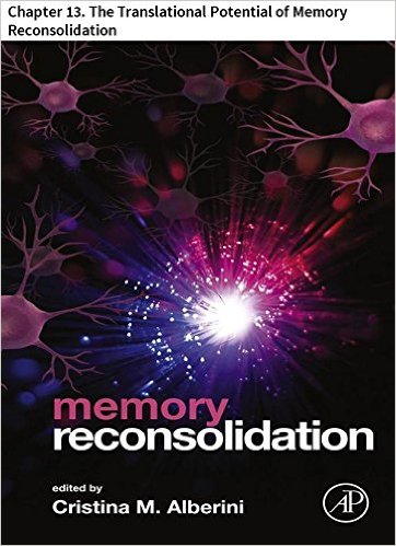 memory reconsolidation 13