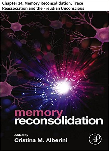 memory reconsolidation 14