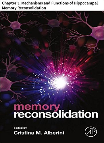 memory reconsolidation 3