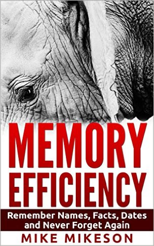 Memory Efficiency