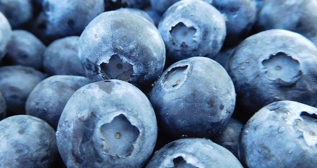 Blueberries