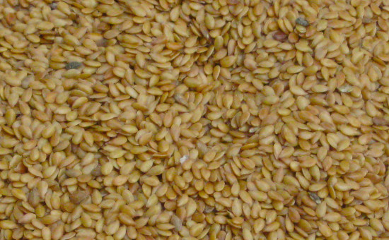 Flax Seed