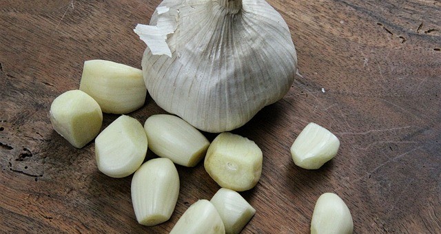 Garlic