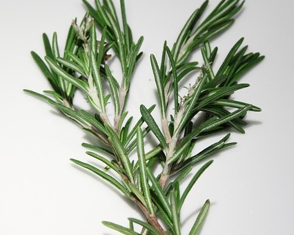 Rosemary