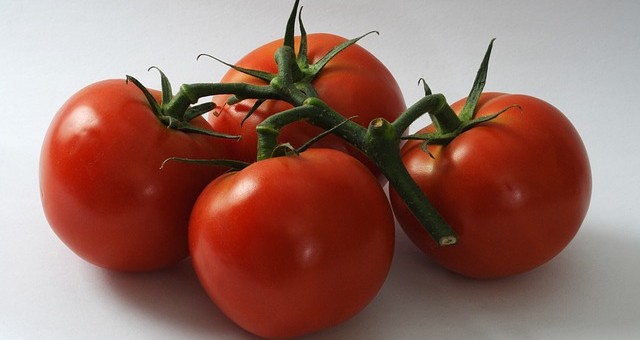 Tomatoes